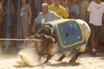 El \'bou encorda\' se exhibe en sus diferentes variaciones2