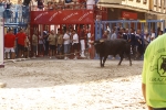 El \'bou encorda\' se exhibe en sus diferentes variaciones2