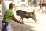 El \'bou encorda\' se exhibe en sus diferentes variaciones2