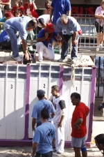 El \'bou encorda\' se exhibe en sus diferentes variaciones2