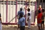 El \'bou encorda\' se exhibe en sus diferentes variaciones2