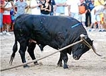 El recinto taurino se llena el primer día de toros