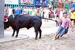 El recinto taurino se llena el primer día de toros