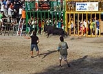 El recinto taurino se llena el primer día de toros