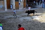 El recinto taurino se llena el primer día de toros