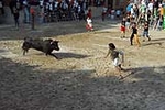 El recinto taurino se llena el primer día de toros