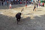 El recinto taurino se llena el primer día de toros