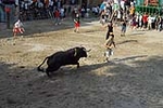 El recinto taurino se llena el primer día de toros