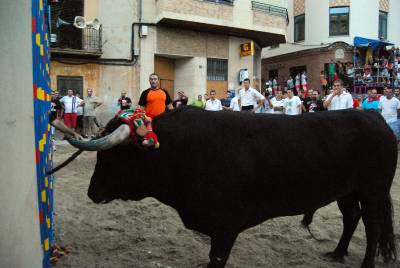 Fotografia /Gallery/35402_19522/4_M1.jpg