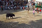 El recinto taurino se llena el primer día de toros