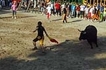 El recinto taurino se llena el primer día de toros