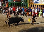 El recinto taurino se llena el primer día de toros