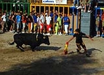 El recinto taurino se llena el primer día de toros