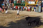 El recinto taurino se llena el primer día de toros