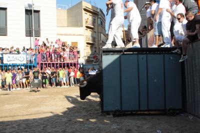 Fotografia /Gallery/35407_19524/4_M1.jpg