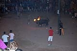 El toro embolado, un atractivo en la noche de las fiestas