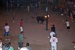 El toro embolado, un atractivo en la noche de las fiestas