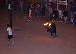 El toro embolado, un atractivo en la noche de las fiestas