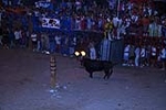 El toro embolado, un atractivo en la noche de las fiestas