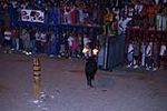 El toro embolado, un atractivo en la noche de las fiestas