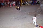 El toro embolado, un atractivo en la noche de las fiestas