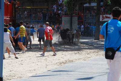 Fotografia /Gallery/35440_19541/5_M1.jpg