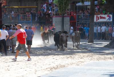 Fotografia /Gallery/35440_19541/6_M1.jpg