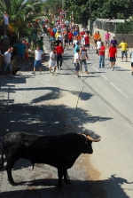 Toro en Cuerda Santa Bárbara Sábado