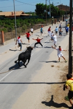 Toro en Cuerda Santa Bárbara Sábado