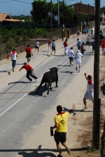 Toro en Cuerda Santa Bárbara Sábado