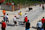 Toro en Cuerda Santa Bárbara Sábado