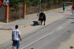 Toro en Cuerda Santa Bárbara Sábado