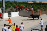 Toro en Cuerda Santa Bárbara Sábado