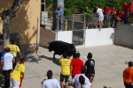 Toro en Cuerda Santa Bárbara Sábado