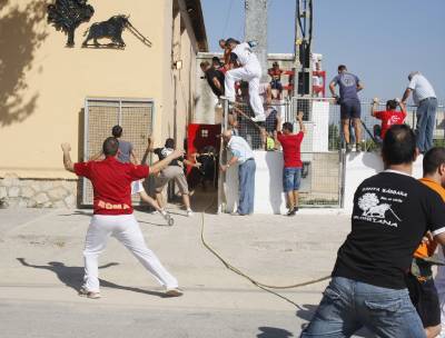 Fotografia /Gallery/35444_19547/4_M1.jpg