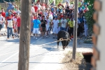 Toro en Cuerda Santa Bárbara Sábado