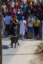 Toro en Cuerda Santa Bárbara Sábado