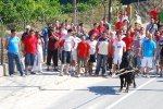 Toro en Cuerda Santa Bárbara Sábado