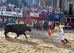 Un toro se accidenta y tiene que ser sustituido al romperse una pata