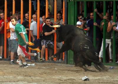 Fotografia /Gallery/35476_19558/2_M1.jpg