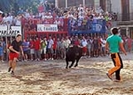 Un toro se accidenta y tiene que ser sustituido al romperse una pata