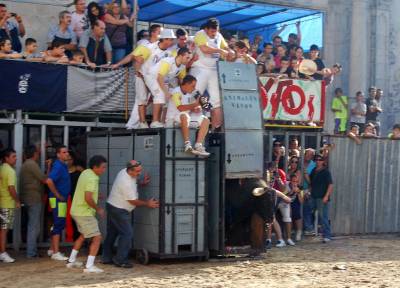 Fotografia /Gallery/35476_19558/5_M1.jpg