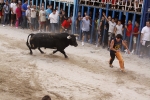 Toro de la tarde 7-9-2010