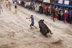 Toro de la tarde 7-9-2010