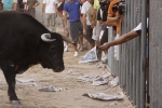 Toro de la tarde 7-9-2010