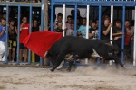 Toro de la tarde 7-9-2010