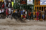 Toro de la tarde 7-9-2010