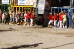 Toro de la tarde 7-9-2010