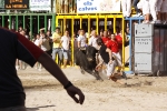 Toro de la tarde 7-9-2010