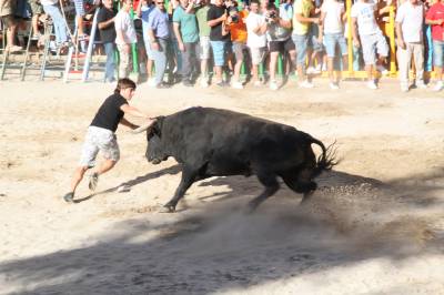 Fotografia /Gallery/35569_19598/2_M1.jpg